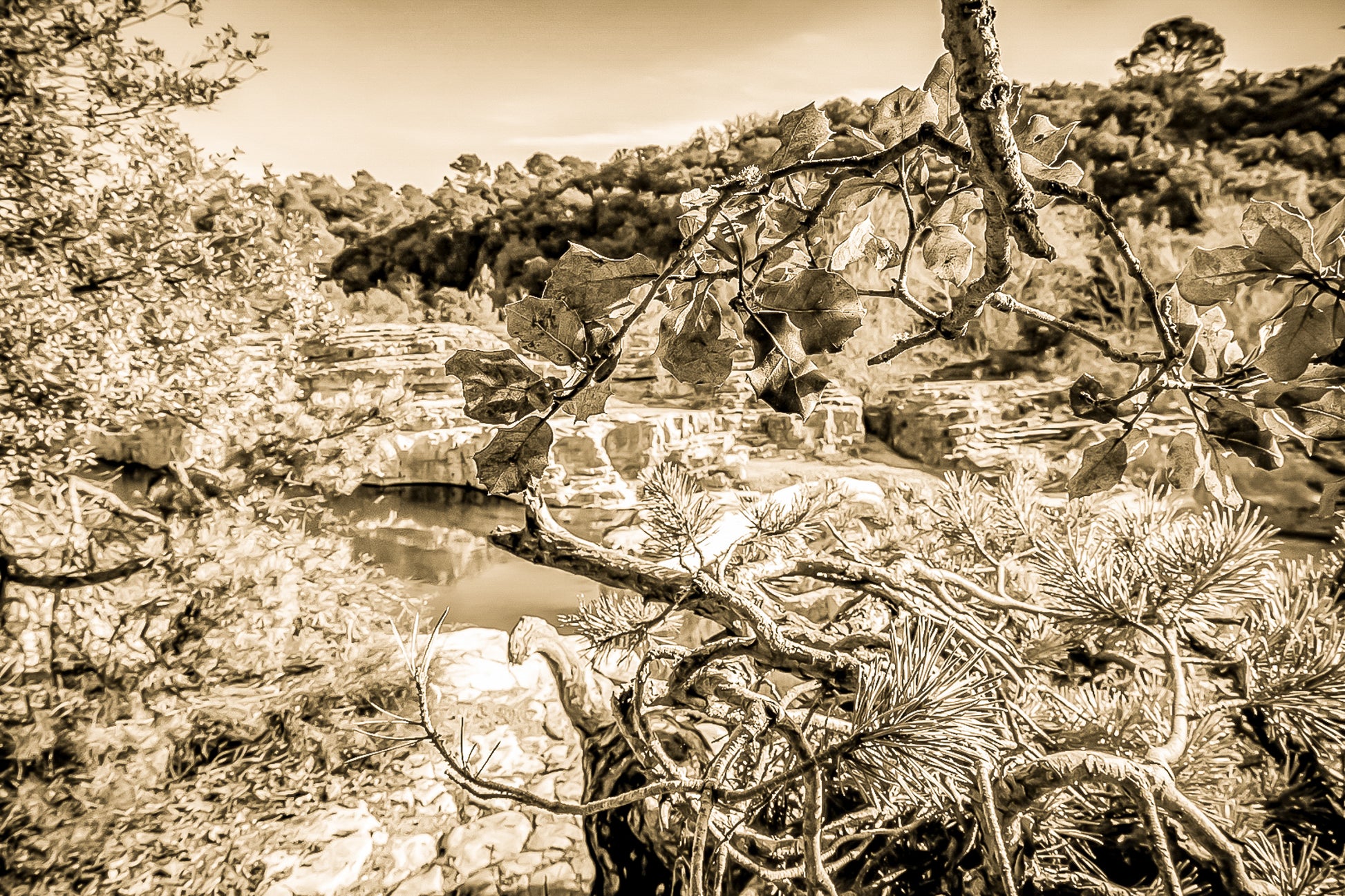Branches de chêne et de pin en premier plan, vasques turquoise et roches du Sautadet en arrière-plan, vintage