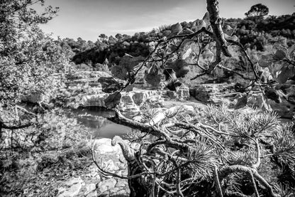 Branches de chêne et de pin en premier plan, vasques turquoise et roches du Sautadet en arrière-plan, noir et blanc