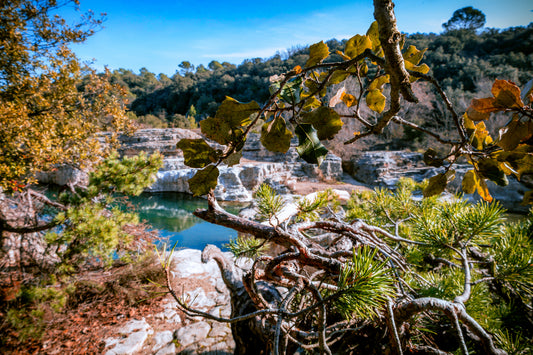 Branches de chêne et de pin en premier plan, vasques turquoise et roches du Sautadet en arrière-plan