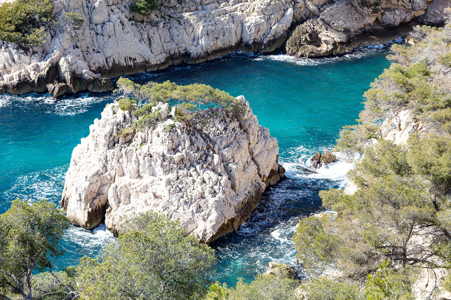 Petit îlot rocheux couvert de pins au centre d’une anse turquoise dans les calanques
