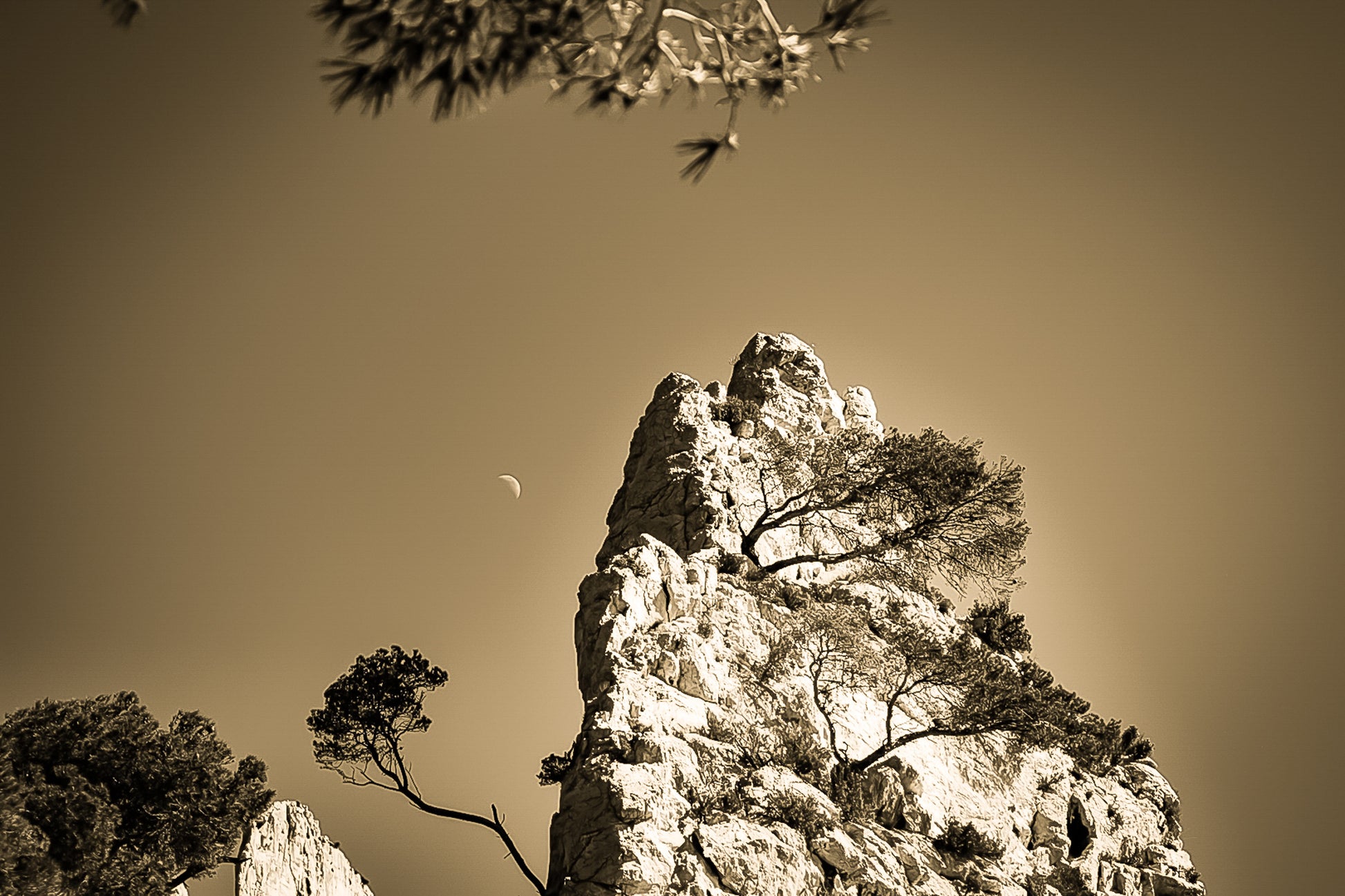 iton calcaire et pins à Sugiton, demi-lune, rendu vintage sépia.