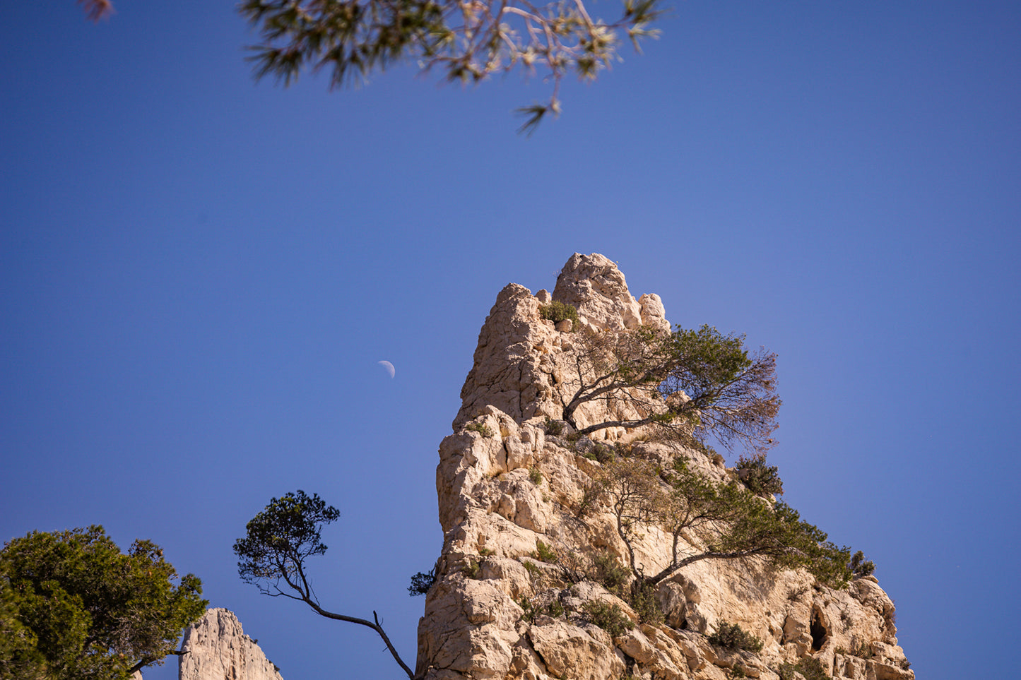 Piton calcaire et pins à Sugiton avec la demi-lune dans un ciel bleu clair
