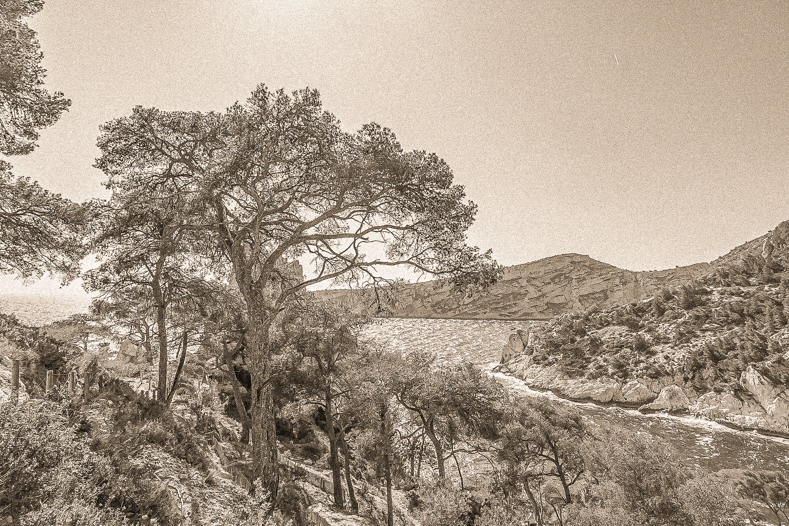 Chemin de randonnée ombragé par des pins avec vue sur une anse bleue des calanques, vintage