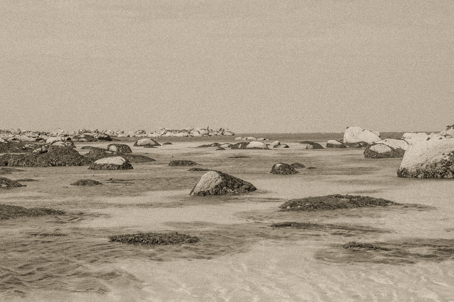 Rochers et laisses de mer à marée basse sur sable clair, rendu ancien sépia, site de Meneham en Bretagne