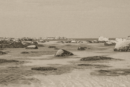 Rochers et laisses de mer à marée basse sur sable clair, rendu ancien sépia, site de Meneham en Bretagne