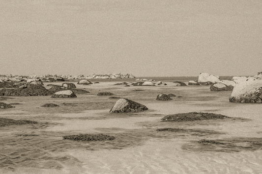 Rochers et laisses de mer à marée basse sur sable clair, rendu ancien sépia, site de Meneham en Bretagne
