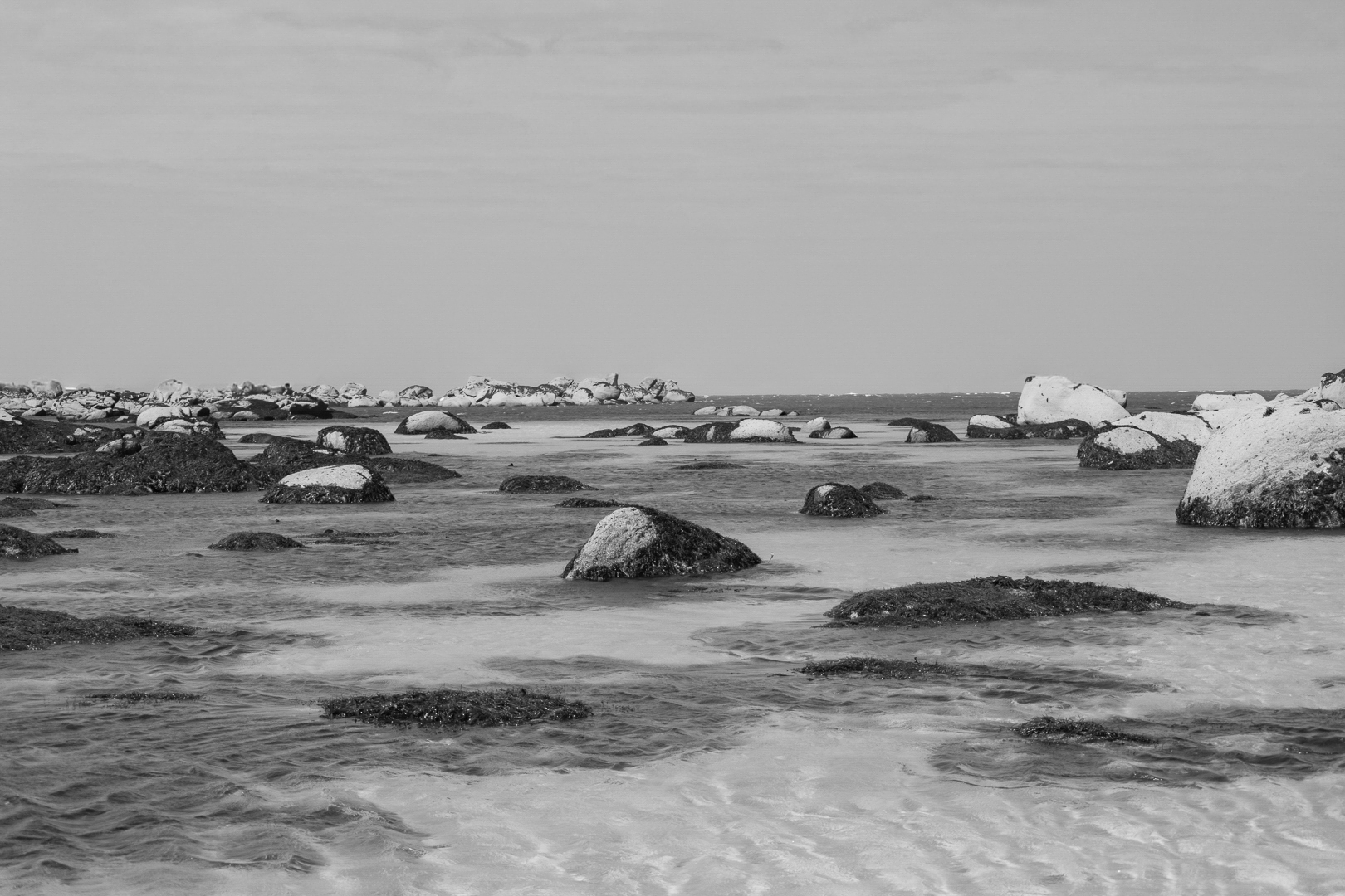 Rochers et laisses de mer à marée basse sur sable clair, noir et blanc, site de Meneham en Bretagne