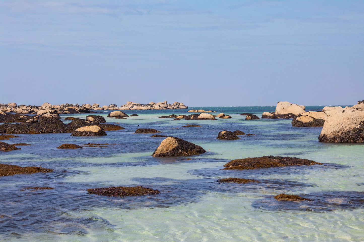 Rochers et laisses de mer à marée basse sur sable clair, couleur, site de Meneham en Bretagne
