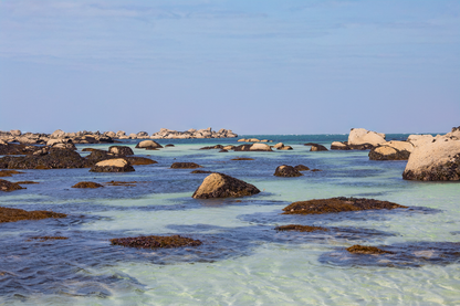 Rochers et laisses de mer à marée basse sur sable clair, couleur, site de Meneham en Bretagne