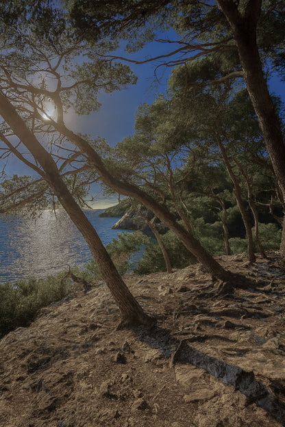 pins penchés, mer au fond, lumière froide/bleutée