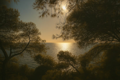Branches de pins encadrant un soleil couchant au-dessus de la mer
