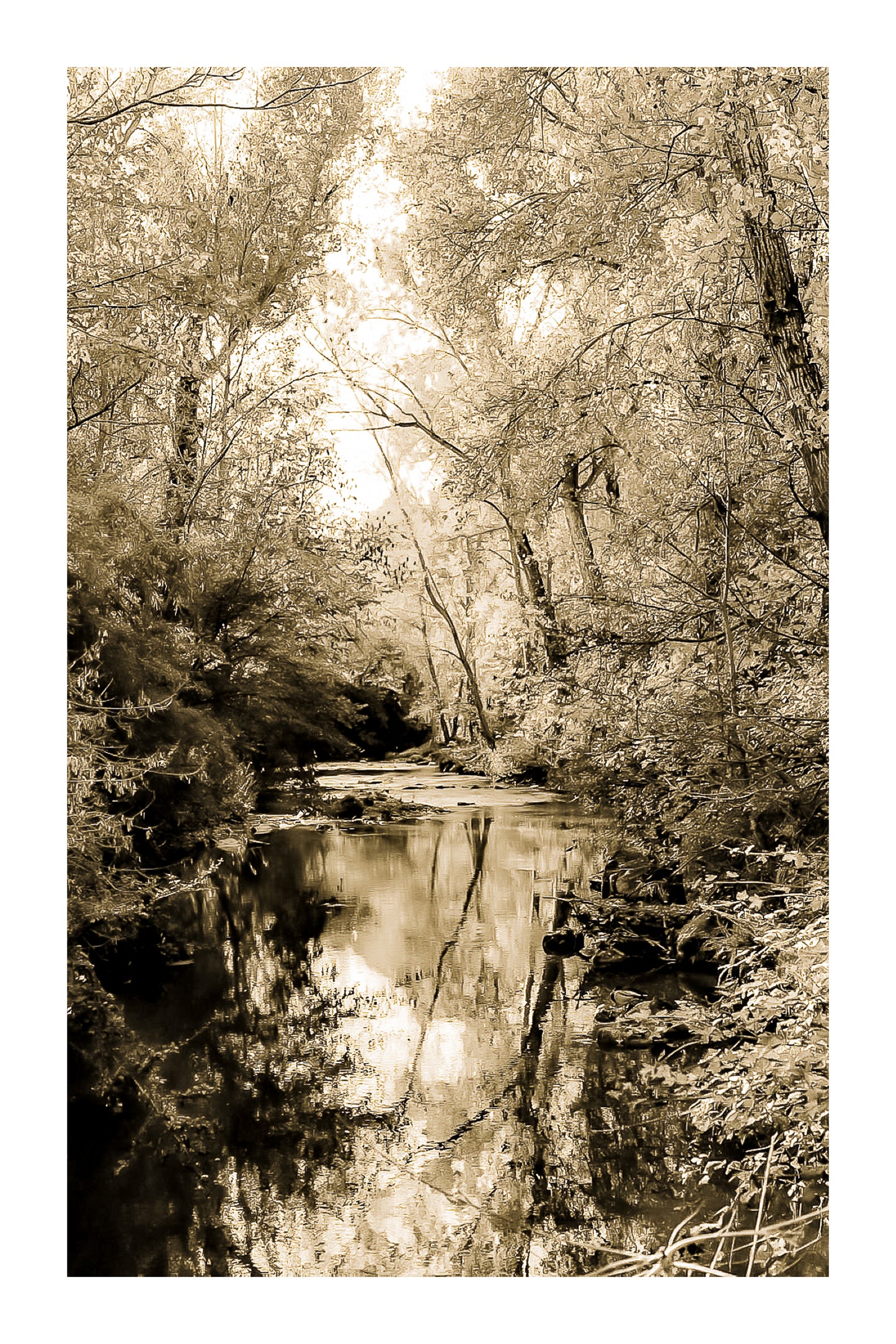 Rivière de l’Arc reflétant les feuillages jaunes et verts en automne, vintage avec bordure