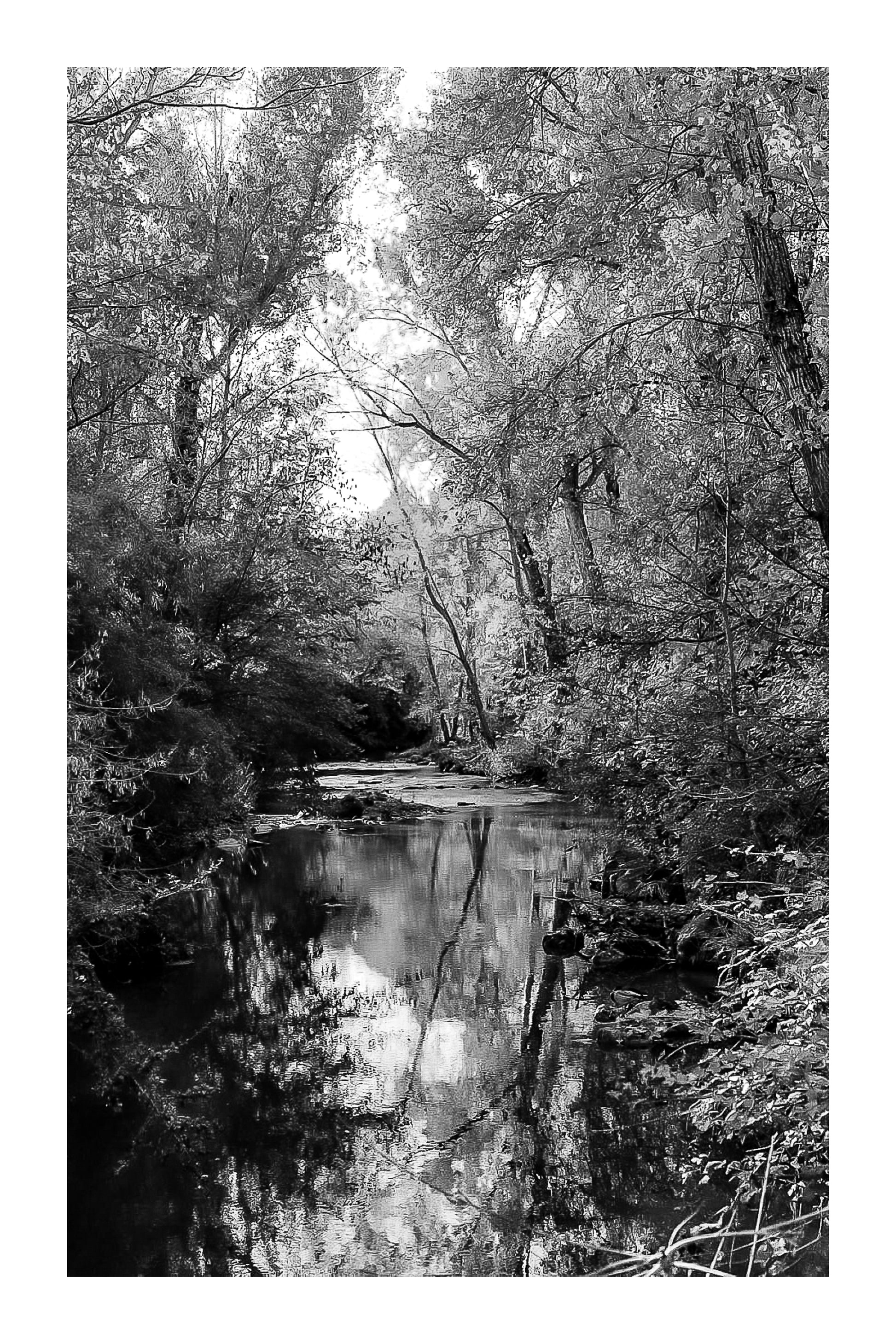 Rivière de l’Arc reflétant les feuillages jaunes et verts en automne, noir et blanc avec bordure