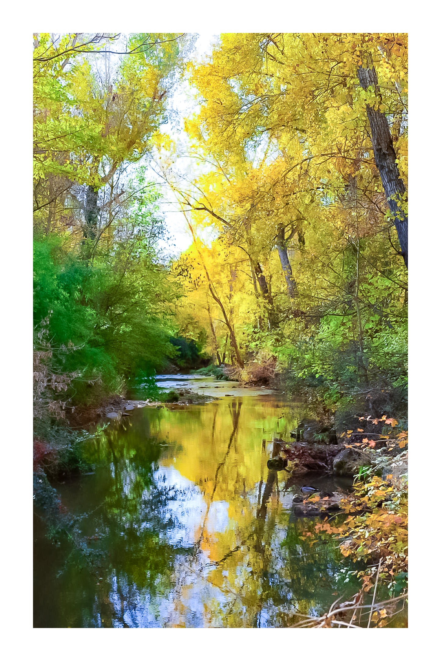 Rivière de l’Arc reflétant les feuillages jaunes et verts en automne avec bordure