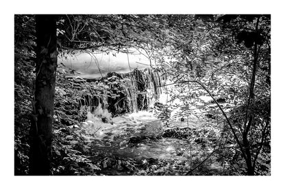 Cascade de la rivière de l’Arc entourée de feuillages verts et de lianes, noir et blanc avec bordure
