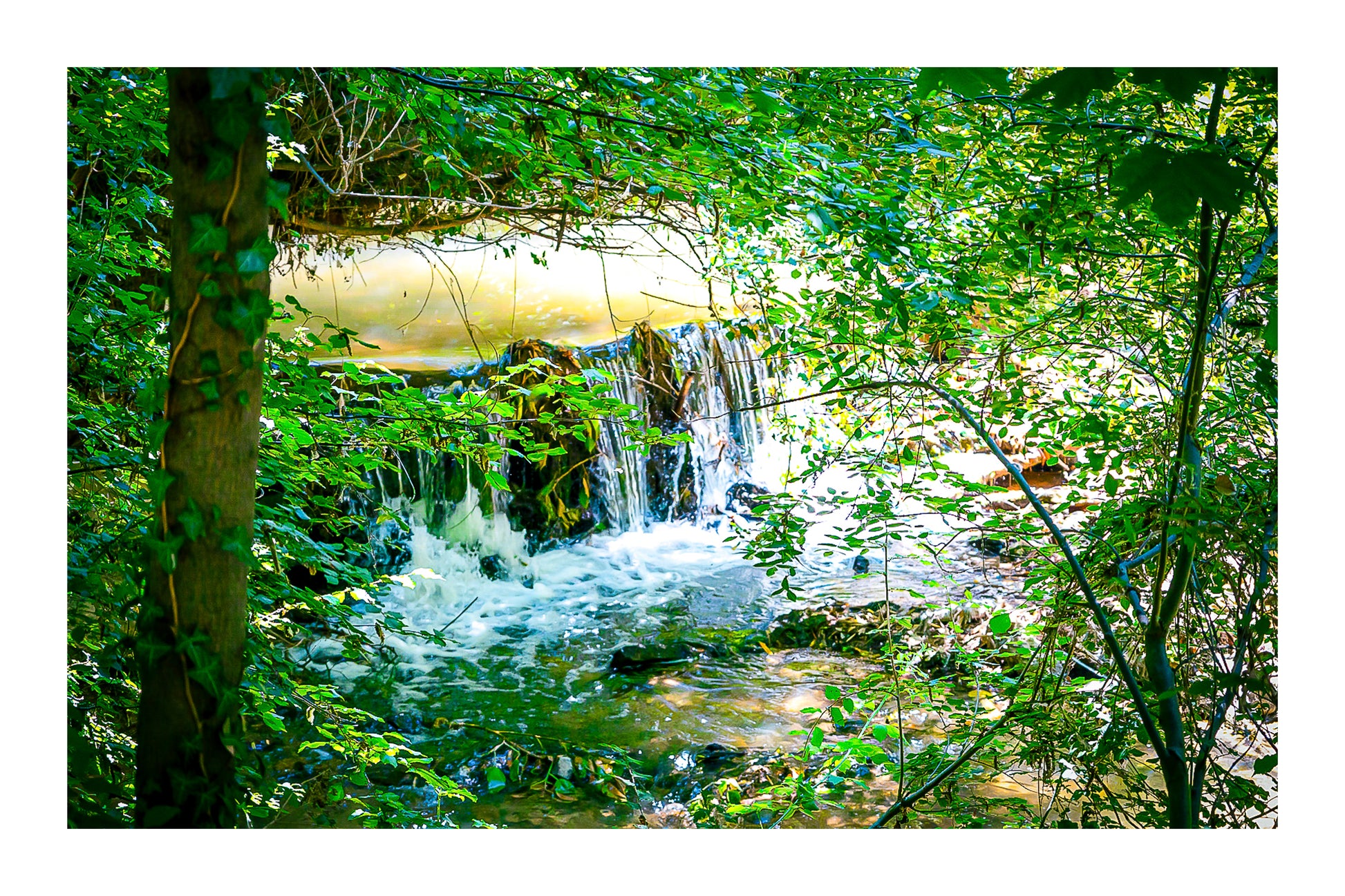 Cascade de la rivière de l’Arc entourée de feuillages verts et de lianes avec bordure