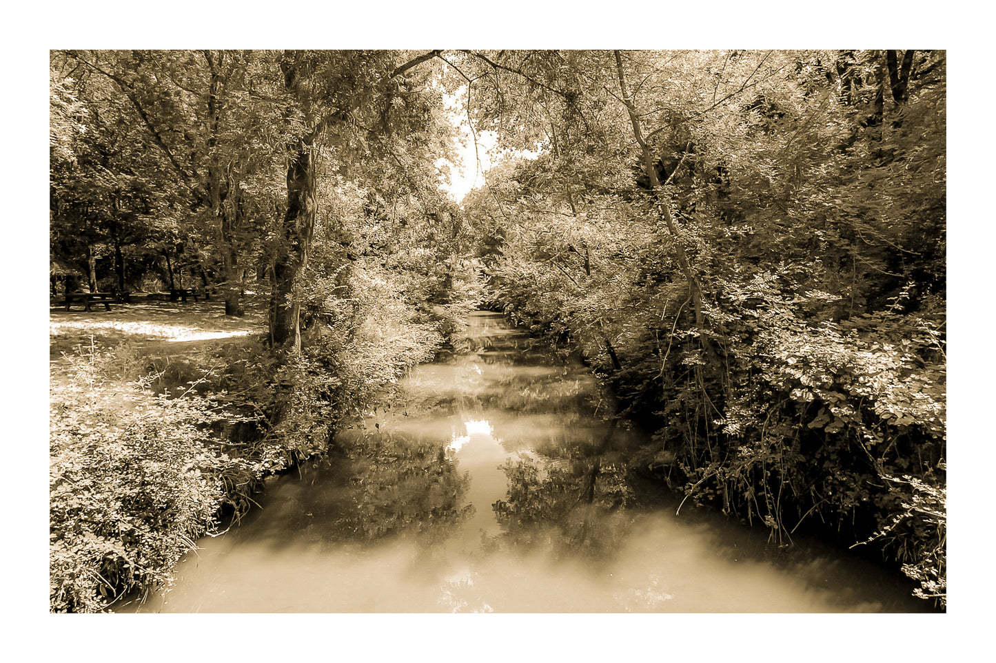 Rivière de l’Arc paisible entourée de grands arbres avec zone de pique-nique à Aix-en-Provence, vintage avec bordure