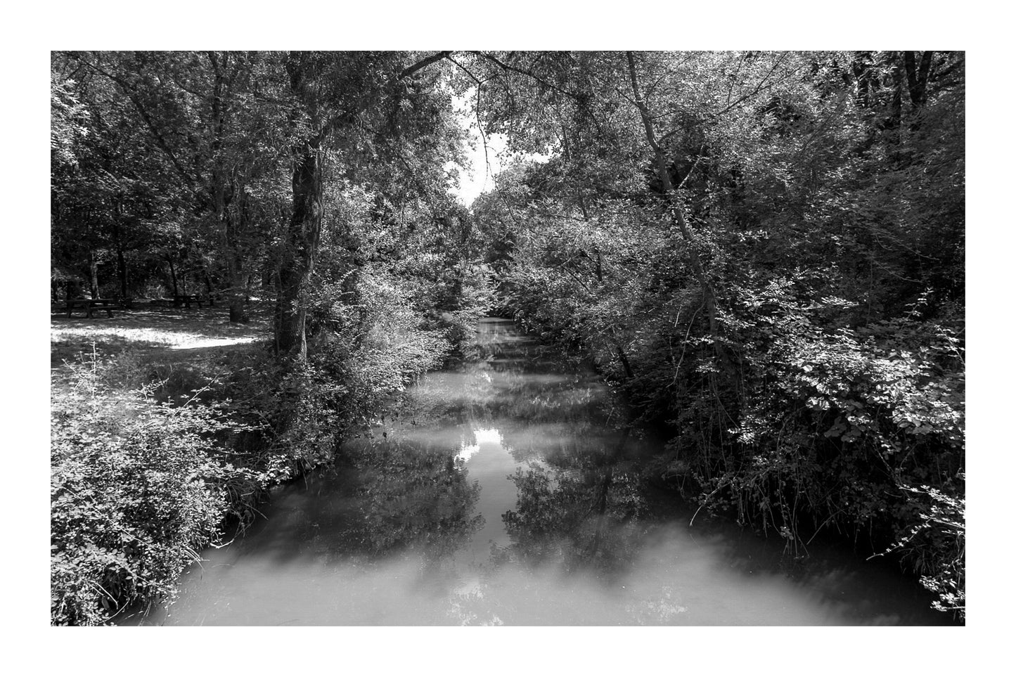 Rivière de l’Arc paisible entourée de grands arbres avec zone de pique-nique à Aix-en-Provence, noir et blanc avec bordure