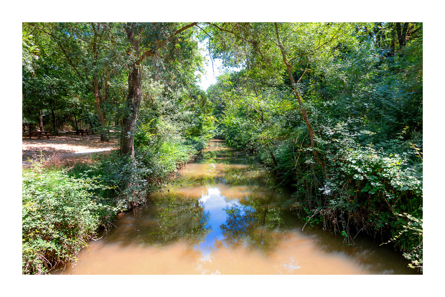 Rivière de l’Arc paisible entourée de grands arbres avec zone de pique-nique à Aix-en-Provence avec bordure