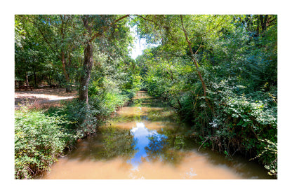 Rivière de l’Arc paisible entourée de grands arbres avec zone de pique-nique à Aix-en-Provence avec bordure