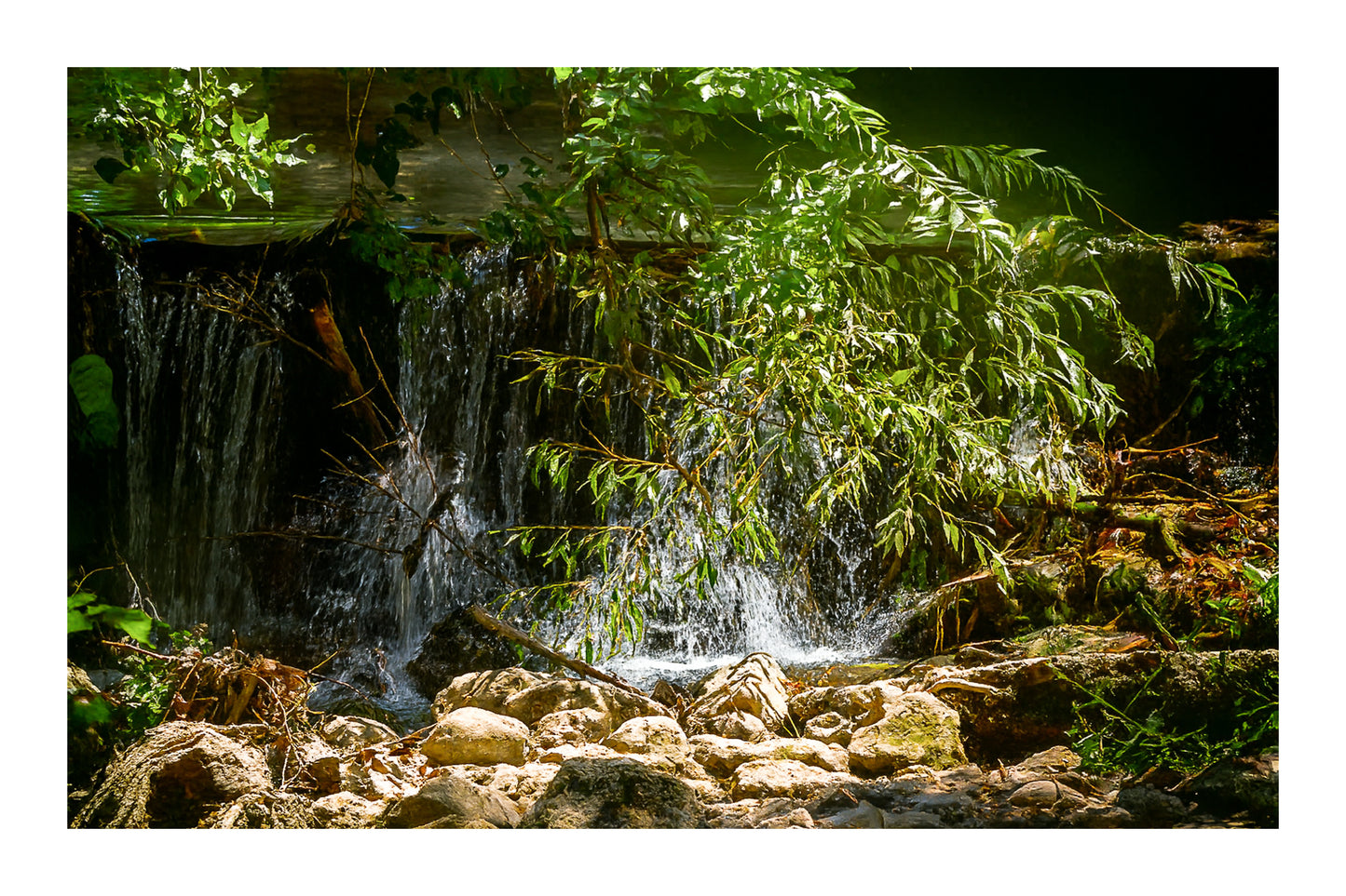 Petite chute d’eau de l’Arc éclairée par un rayon de soleil à travers les branches avec bordure