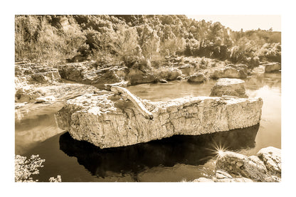 Rocher allongé sur la Cèze avec tronc et reflets, entouré de berges rocheuses et de végétation, vintage avec bordure