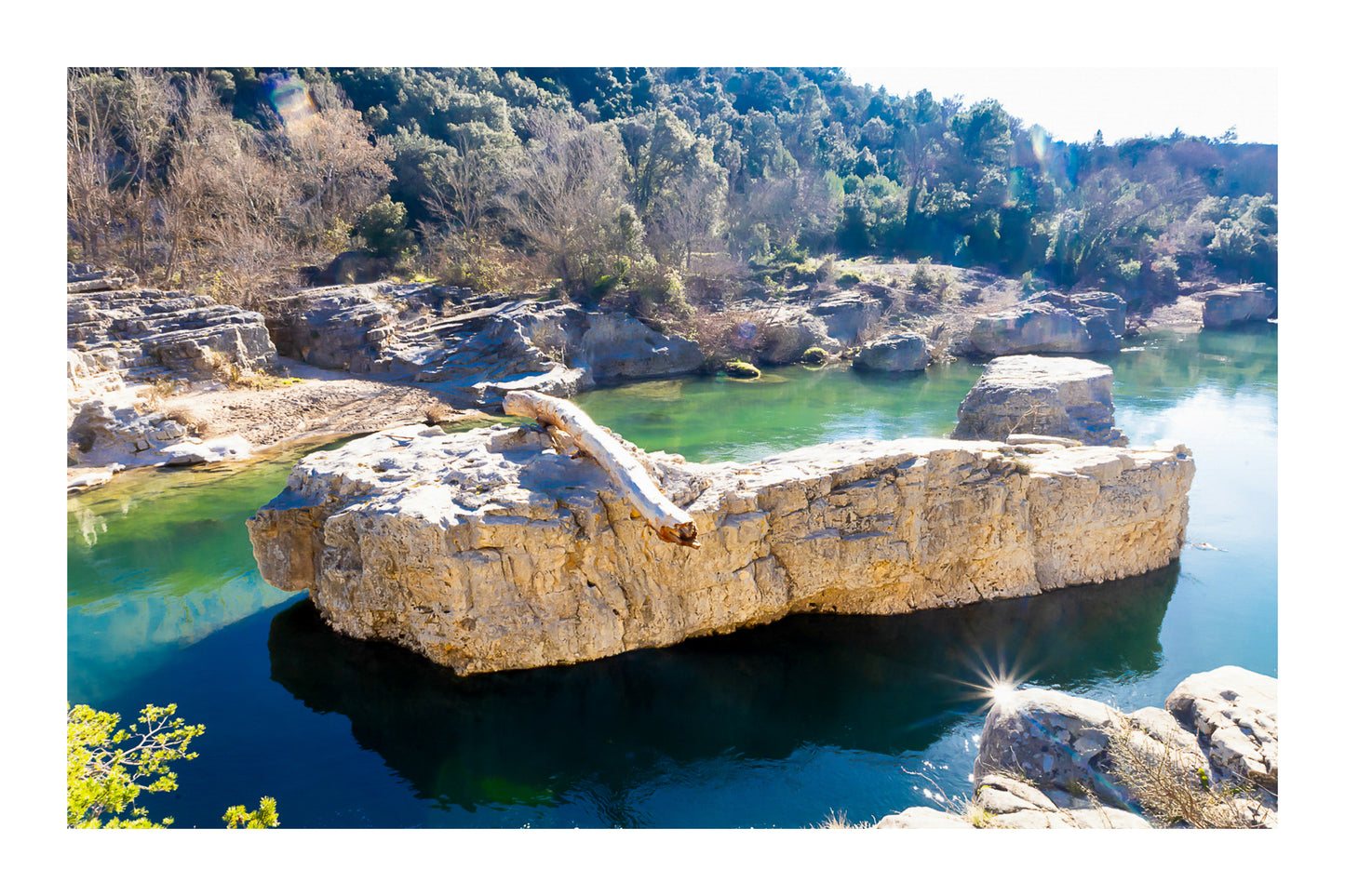 Rocher allongé sur la Cèze avec tronc et reflets, entouré de berges rocheuses et de végétation avec bordure