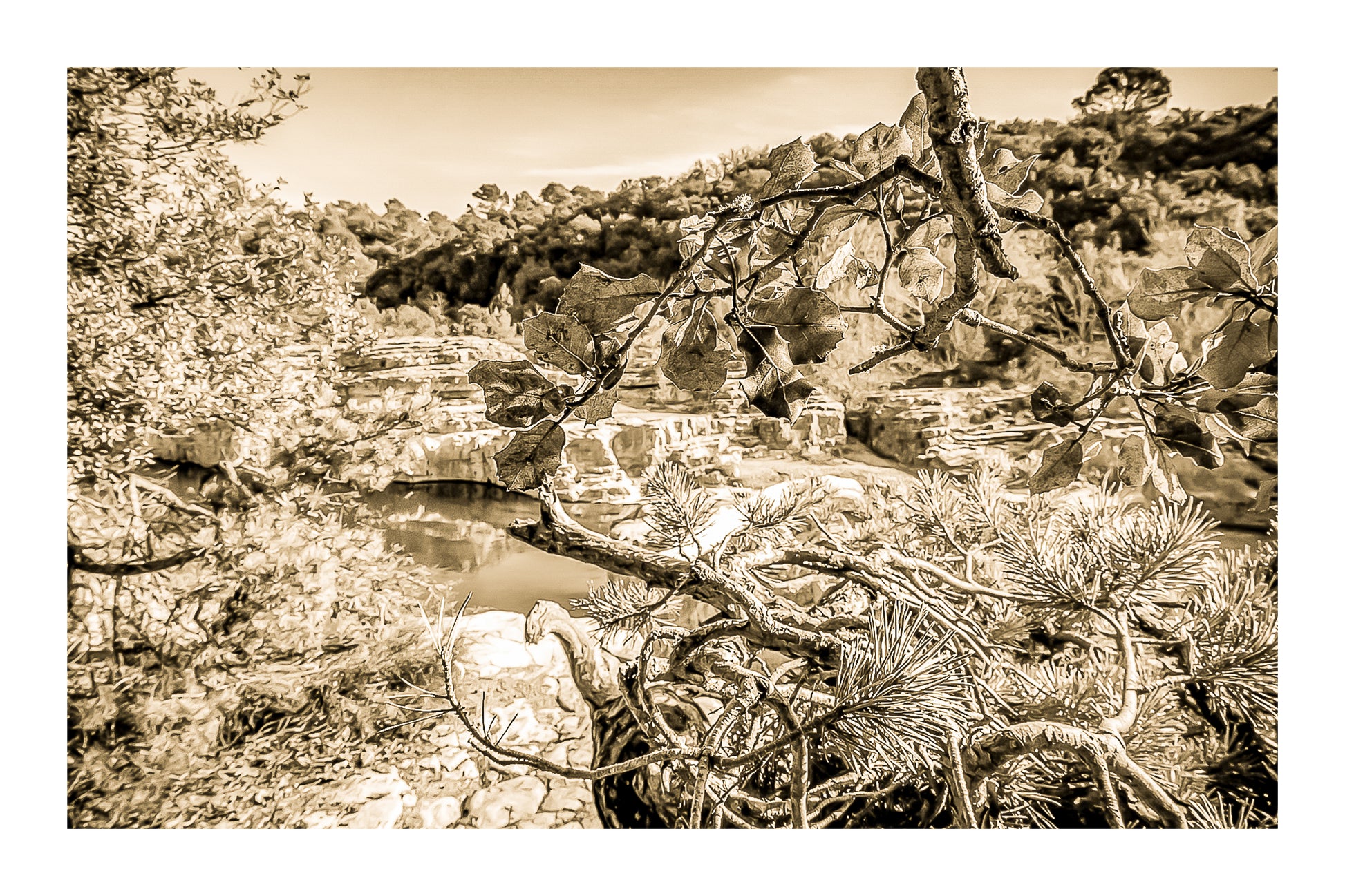 Branches de chêne et de pin en premier plan, vasques turquoise et roches du Sautadet en arrière-plan, vintage avec bordure