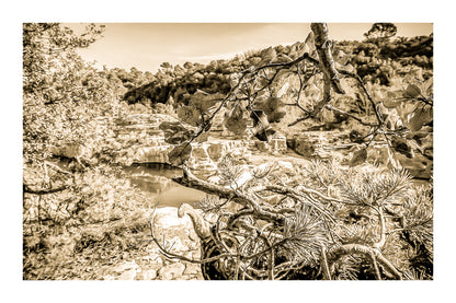 Branches de chêne et de pin en premier plan, vasques turquoise et roches du Sautadet en arrière-plan, vintage avec bordure