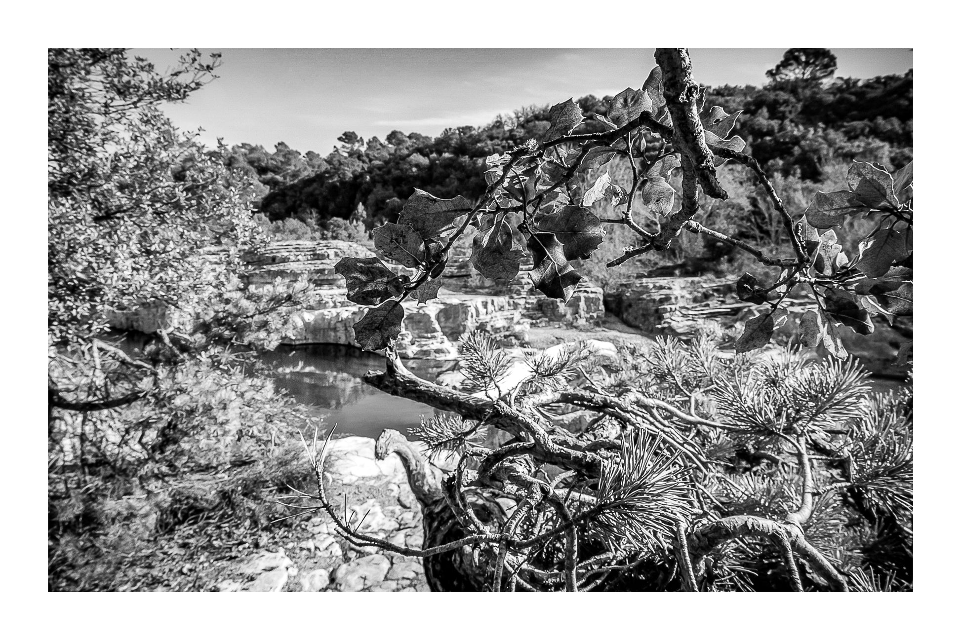Branches de chêne et de pin en premier plan, vasques turquoise et roches du Sautadet en arrière-plan, noir et blanc avec bordure