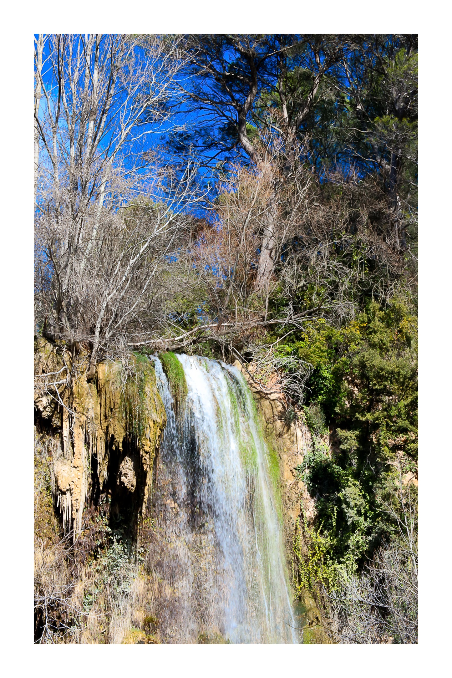 Gros plan vertical sur la cascade de Sillans avec eau ruisselante et mousses vertes accrochées à la falaise avec bordure