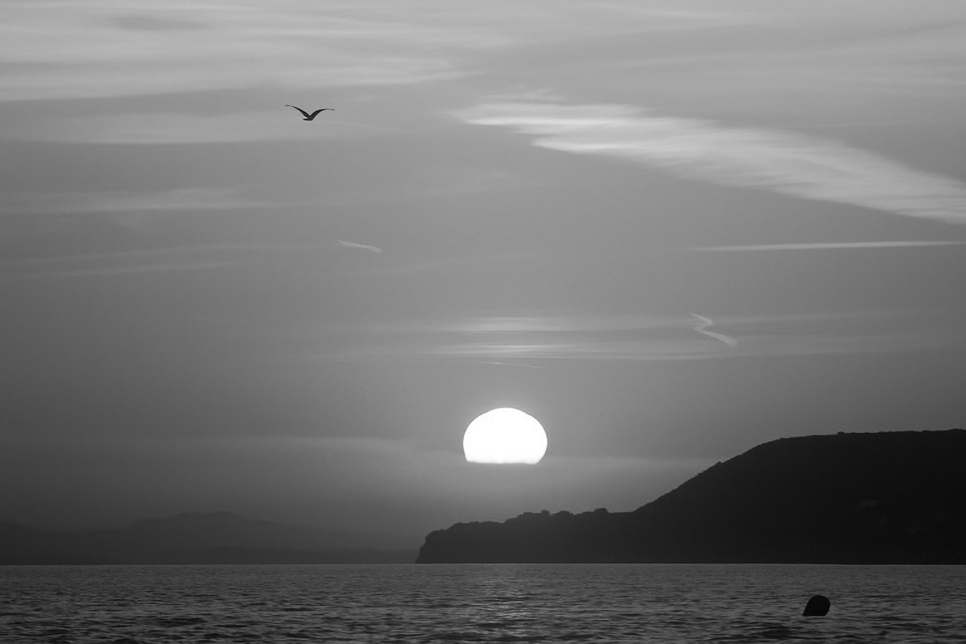Soleil couchant à moitié derrière l’horizon avec une mouette en vol et la presqu’île de Giens en silhouette, noir et blanc