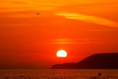 Soleil couchant à moitié derrière l’horizon avec une mouette en vol et la presqu’île de Giens en silhouette