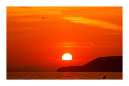 Soleil couchant à moitié derrière l’horizon avec une mouette en vol et la presqu’île de Giens en silhouette avec bordure