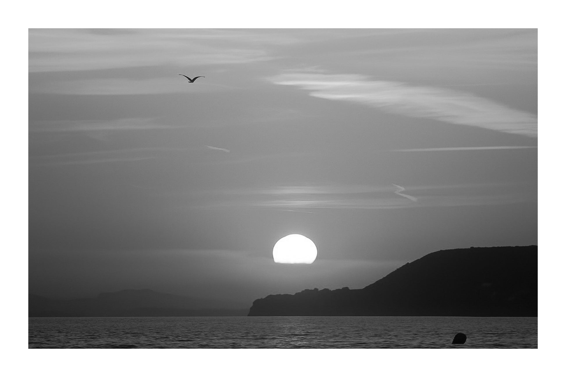 Soleil couchant à moitié derrière l’horizon avec une mouette en vol et la presqu’île de Giens en silhouette, noir et blanc avec bordure