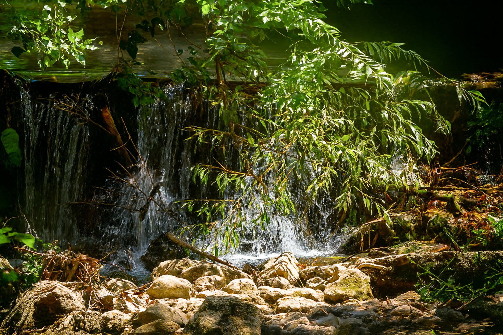 Petite chute d’eau de l’Arc éclairée par un rayon de soleil à travers les branches
