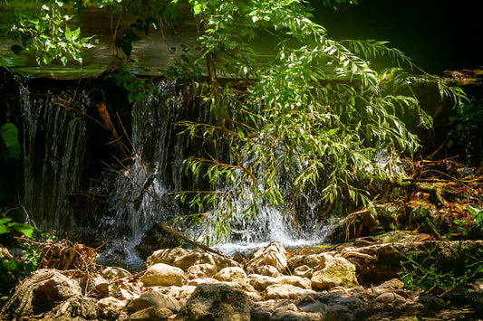 Petite chute d’eau de l’Arc éclairée par un rayon de soleil à travers les branches