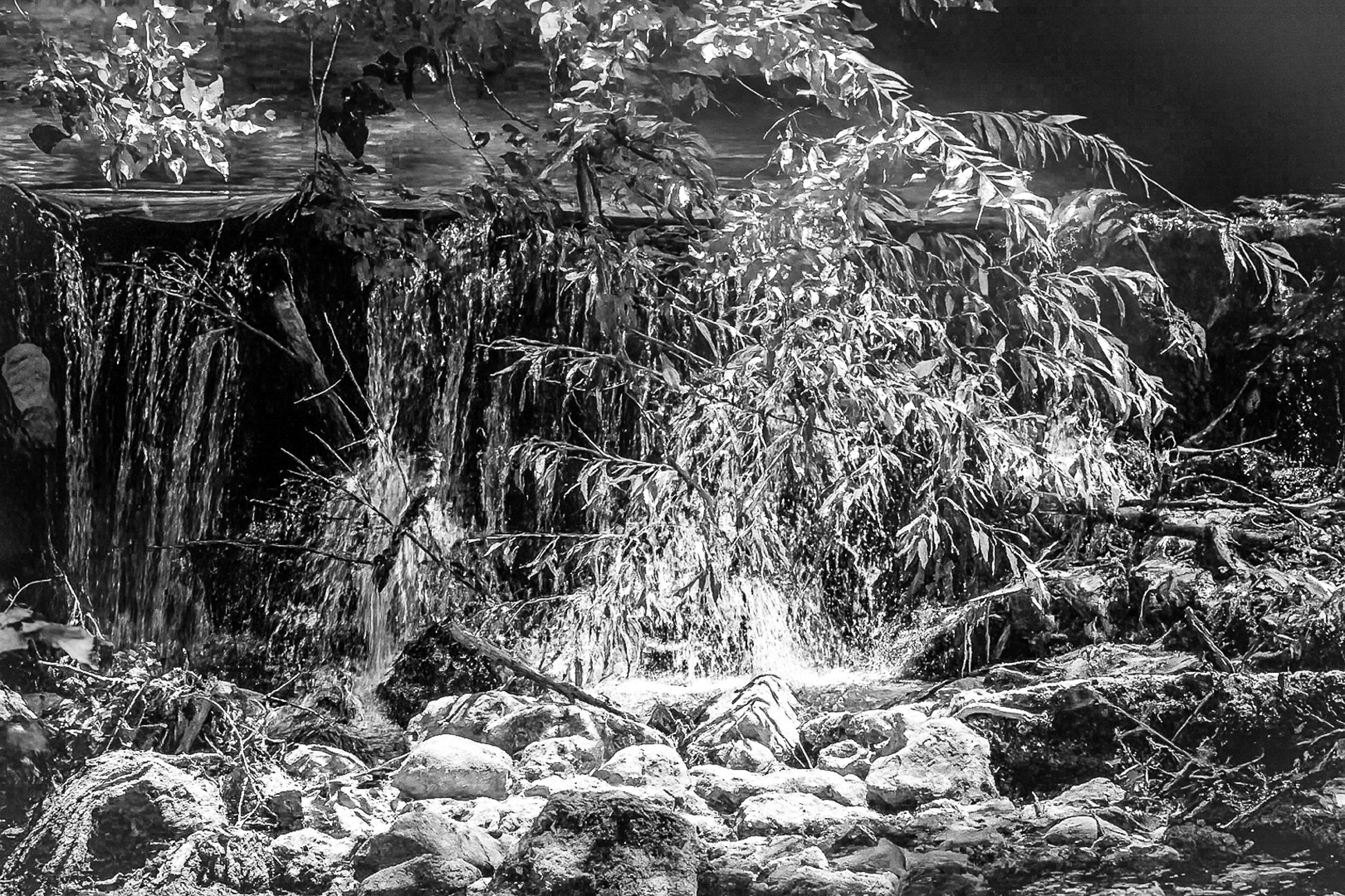 Petite chute d’eau de l’Arc éclairée par un rayon de soleil à travers les branches, noir et blanc
