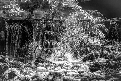 Petite chute d’eau de l’Arc éclairée par un rayon de soleil à travers les branches, noir et blanc