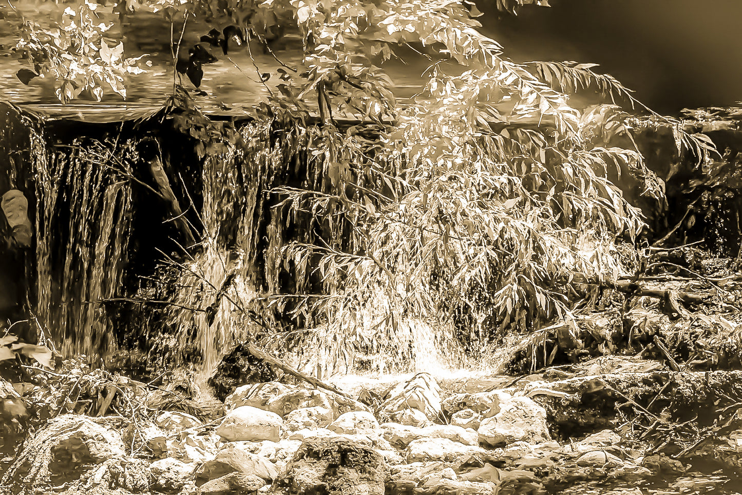 Petite chute d’eau de l’Arc éclairée par un rayon de soleil à travers les branches, vintage