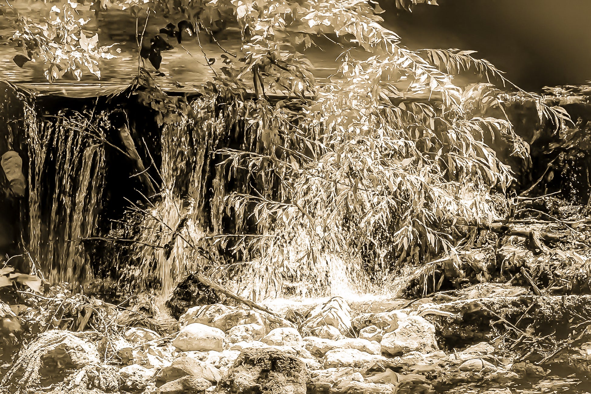 Petite chute d’eau de l’Arc éclairée par un rayon de soleil à travers les branches, vintage