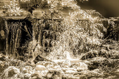 Petite chute d’eau de l’Arc éclairée par un rayon de soleil à travers les branches, vintage