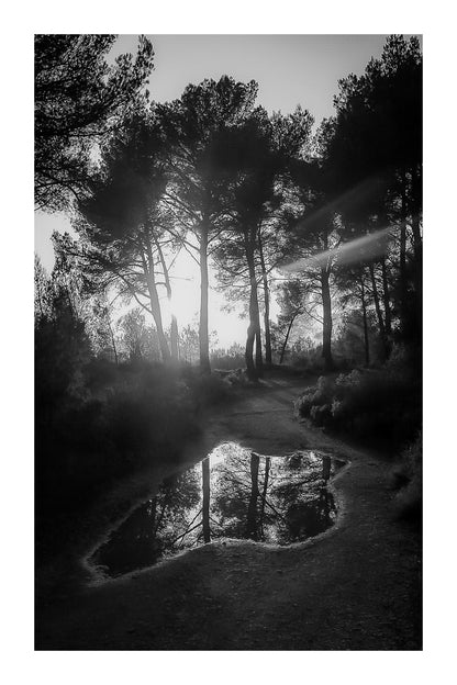 Reflet du soleil couchant dans une flaque sur un chemin forestier à Bibemus, noir et blanc avec bordure