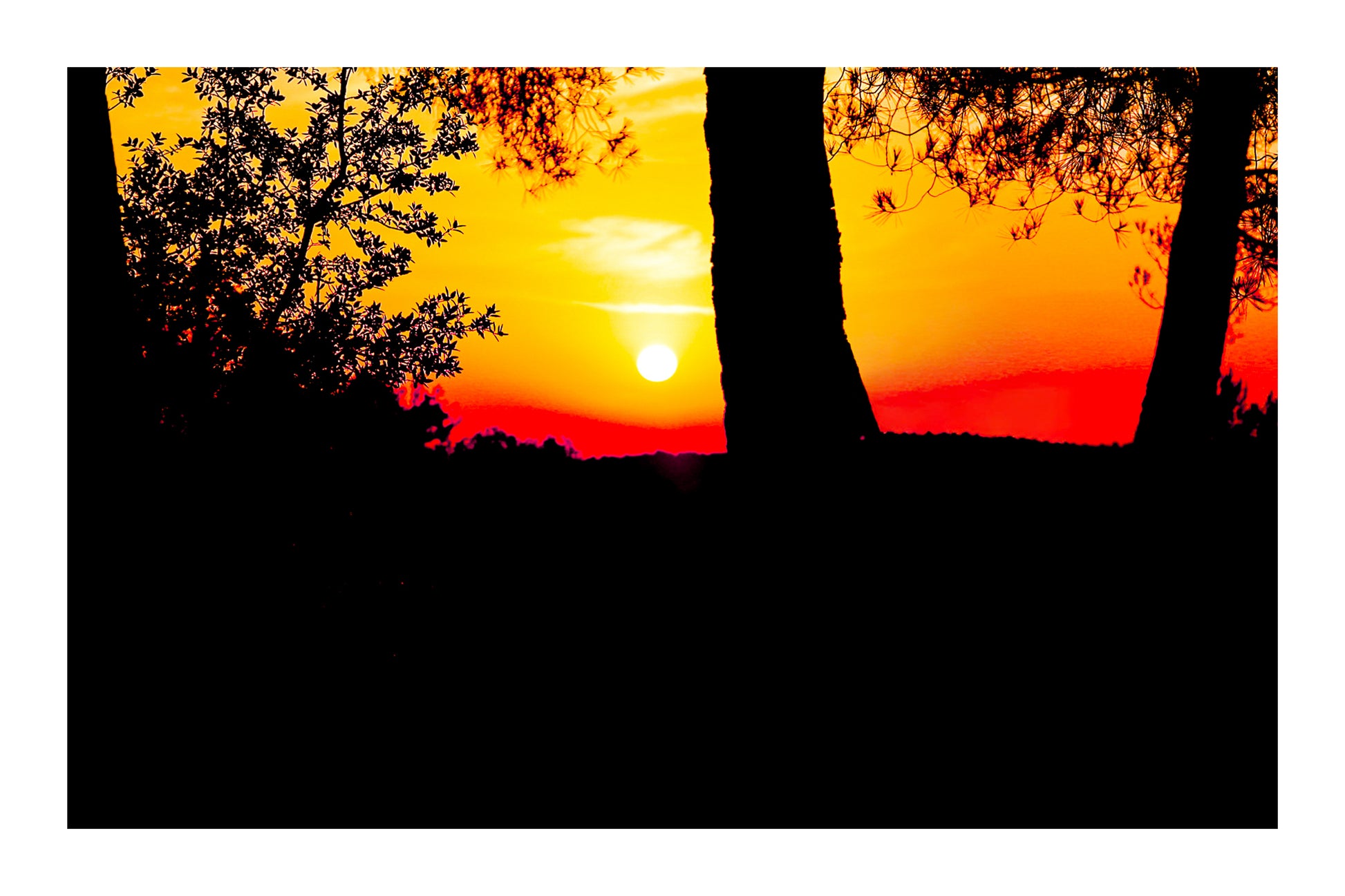 Soleil bas cadré entre les troncs et le feuillage, ciel rougeoyant à Bibemus avec bordure