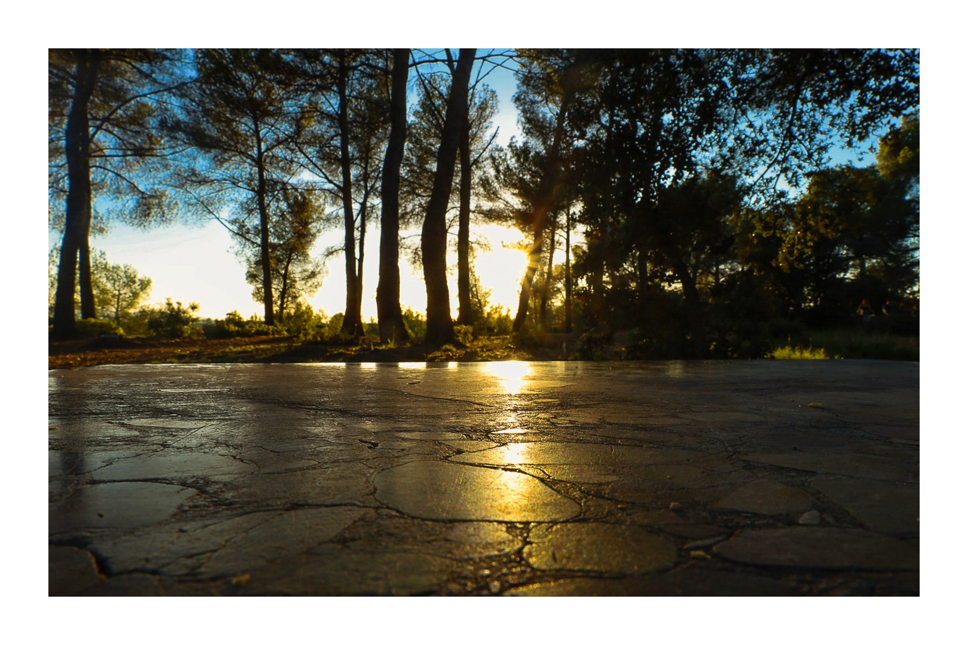 Rayon de soleil couchant glissant sur une dalle pierreuse, pins en arrière-plan à Bibemus avec bordure