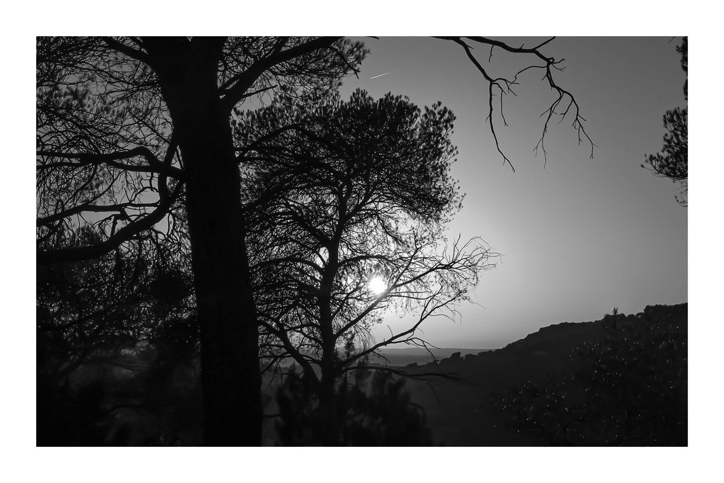 Soleil couchant visible entre les pins, reliefs d’Aix en arrière-plan, noir et blanc avec bordure