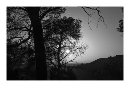 Soleil couchant visible entre les pins, reliefs d’Aix en arrière-plan, noir et blanc avec bordure