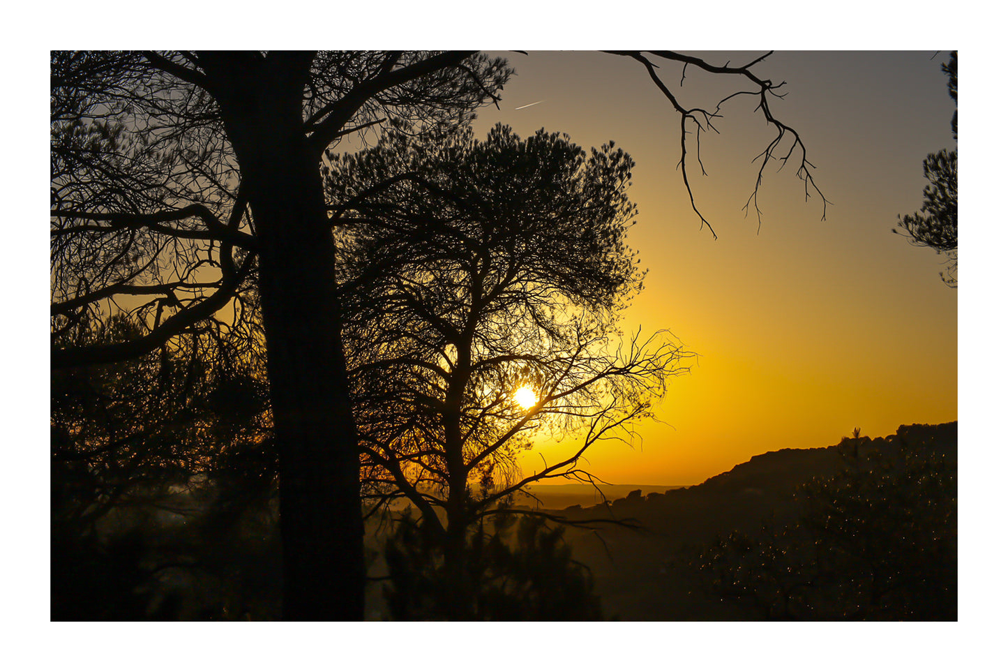 Soleil couchant visible entre les pins, reliefs d’Aix en arrière-plan avec bordure