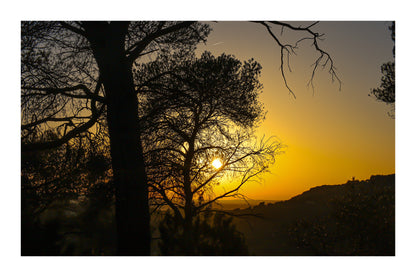 Soleil couchant visible entre les pins, reliefs d’Aix en arrière-plan avec bordure