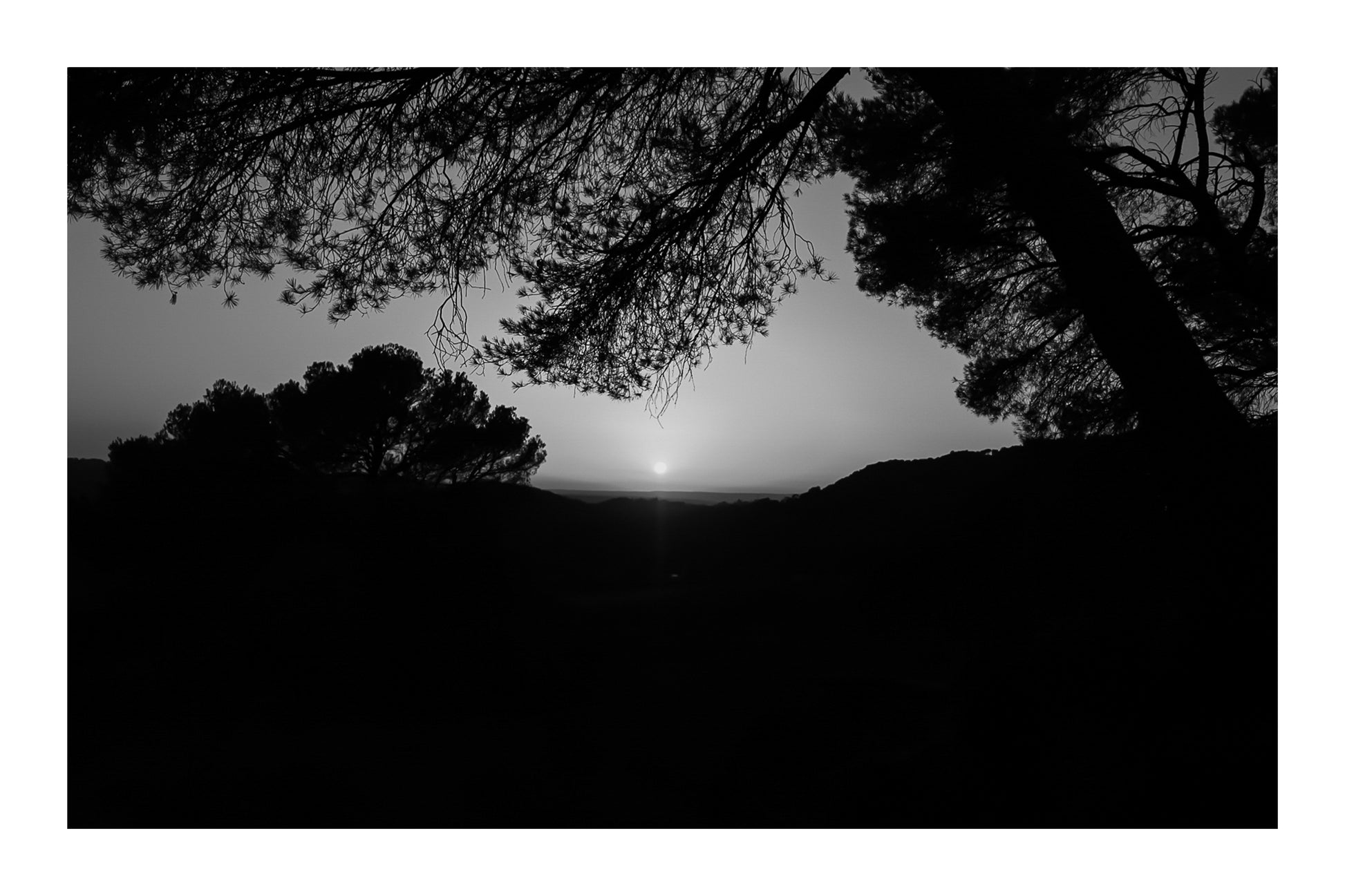 Soleil rond au centre d’un ciel orange, pins en silhouettes à Bibemus, noir et blanc avec bordure